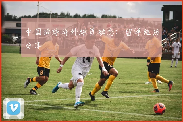 中国排球海外球员动态：留洋经历分享