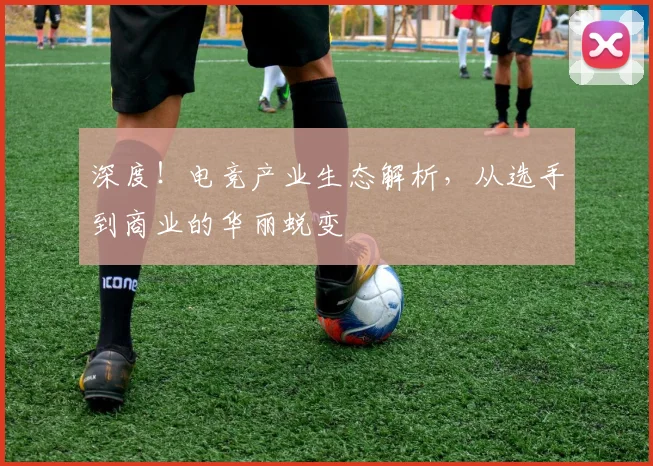 深度！电竞产业生态解析，从选手到商业的华丽蜕变